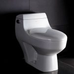 One Piece Toilet