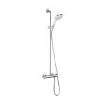Telephone Shower with Shower Riser